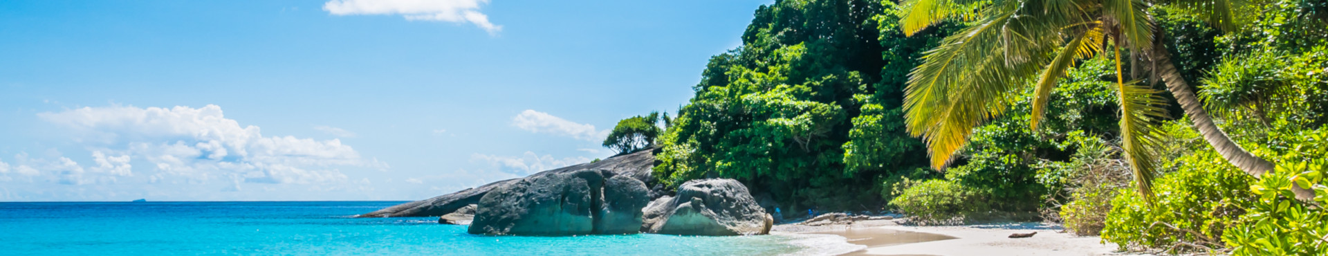 about_banner турагентство по детскому отдыху Дети на море